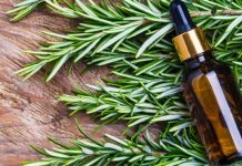 Kosa raste kao luda i PRESTAJE da opada: ŽIVA VODA za kosu, efekat će vas oduševiti!