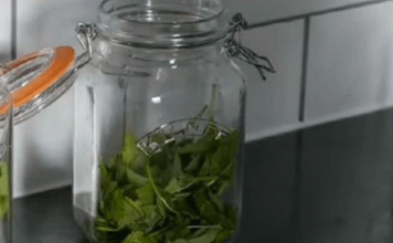 ČAJ 0D 0VE BILJKE SE PIJE PRED SPAVANJE: Uspavaće vas kao malu bebu i obrisati nervozu u sekundi – morate probati