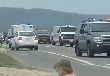 Mala devojčica sa velikim srcem: Priča sa ulice koja je podsetila svet šta znači biti čovek