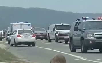 Mala devojčica sa velikim srcem: Priča sa ulice koja je podsetila svet šta znači biti čovek