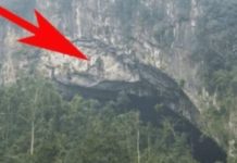 Jedan skroman seljak naišao je na do tada neotkrivenu pećinu!