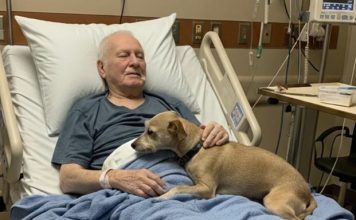 Dozvolili su njegovom psu da se oprosti — nekoliko sati kasnije, medicinska sestra je otvorila vrata… i ispustila sve dokumente.