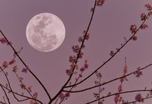 Pun Mesec u Biku donosi vreme za odluke: Za 4 horoskopska znaka život se menja 5. novembra