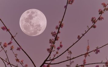 Pun Mesec u Biku donosi vreme za odluke: Za 4 horoskopska znaka život se menja 5. novembra