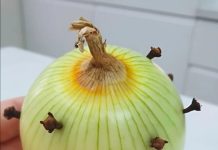 Trik moje bake s lukom činio se čudnim – sve dok nisam otkrio razlog koji stoji iza toga! Nikada više neću kuhati na isti način