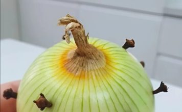 Trik moje bake s lukom činio se čudnim – sve dok nisam otkrio razlog koji stoji iza toga! Nikada više neću kuhati na isti način