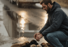 Vozač je primijetio desetke štenaca naguranih zajedno nasred autoceste – i, izlazeći iz auta, shvatio je zašto ne odlaze…