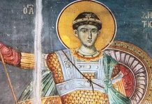 U SUBOTU JE JEDNA OD NAJVEĆIH SLAVA KOD SRBA – MITROVDAN: 1 biljku treba uneti u kuću, a ŽENE OBAVEZNO DA URADE…