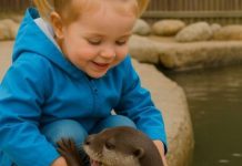 U zoološkom vrtu, devojčica je radosno igrala sa vidrom, očaravajući sve dok im nije prišao čuvar i hitno rekao: „Trebalo bi da odvedete svoju ćerku kod lekara…“