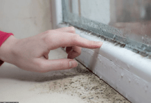 Kako da zaustavite kondenzaciju na prozorima zimi? Stolar otkrio najjednostavnije rešenje