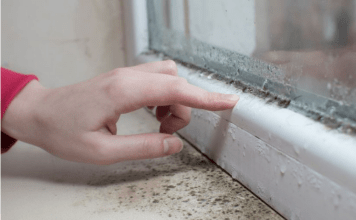 Kako da zaustavite kondenzaciju na prozorima zimi? Stolar otkrio najjednostavnije rešenje