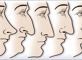 ZVUČI ČUDNO, ALI JE ISTINITO: Evo šta OBLIK NOSA govori O VAMA! Svima je pogodilo