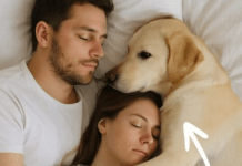 Pas koji nikada nije ulazio u spavaću sobu probudio nas je noću — i odmah smo shvatili zašto.