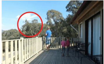 OTAC ILIJA UHVAĆEN SA ĆERKAMA NA BALKONU, MAJKA ODMAH IZLETJELA: Vrištali su dok su to radili (VIDEO)