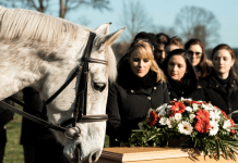 Mislili su da je konj pobegao od tuge, a onda se pojavio na sahrani: Njegov oproštaj od vlasnika bio je dirljiviji od bilo kog govora.