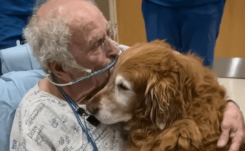 Šaptao je ime „Marfi“. Kada smo saznali ko je to, svi smo zaplakali.