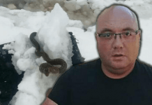 Zmije ispuzale usred zime! Vjeruje se da OVO nije dobar znak, a poznati zmijolovac upozorava – Dobro obratite pažnju na ovo!