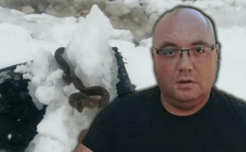 Zmije ispuzale usred zime! Vjeruje se da OVO nije dobar znak, a poznati zmijolovac upozorava – Dobro obratite pažnju na ovo!
