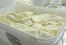 Kardiolog otkrio koja vrsta sira je najgora za srce! Ako ovo pojedete, možete dobiti MOŽDANI UDAR