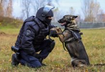 Pas je uskočio na grob svog gospodara i ležao je tamo nepomično, dok prisutni nisu primetili nešto veoma strašno.