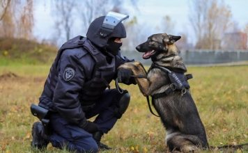 Pas je uskočio na grob svog gospodara i ležao je tamo nepomično, dok prisutni nisu primetili nešto veoma strašno.