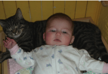 Mislili su da je mačka ljubomorna i luda: Jedne noći, skočila je na krevetac, a oni su shvatili da im spasava život deteta.