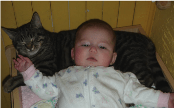 Mislili su da je mačka ljubomorna i luda: Jedne noći, skočila je na krevetac, a oni su shvatili da im spasava život deteta.