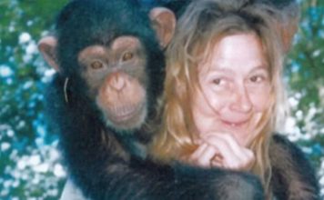 Sandra je godinama gajila šimpanzu i spavala sa njom, ne sluteći šta će je snaći: Taj užas potresao je ceo svet