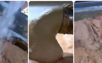 OVO JE NAJOPASNIJA NAMIRNICA, A STALNO JEDEMO: Stalno je na SNIŽENJU, a niko vam neće reći da može biti OTROVNA!