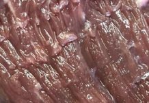 Kupila sam meso u prodavnici i u njemu našla neobičan predmet: bila sam veoma iznenađena što nešto takvo može da se nađe u proizvodu.