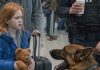 Službeni pas na aerodromu zalajao je na plišanog medu jedne devojčice — ono što je pronašao iznenadilo je sve.