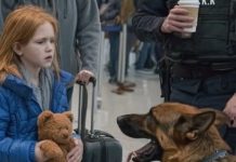 Službeni pas na aerodromu zalajao je na plišanog medu jedne devojčice — ono što je pronašao iznenadilo je sve.