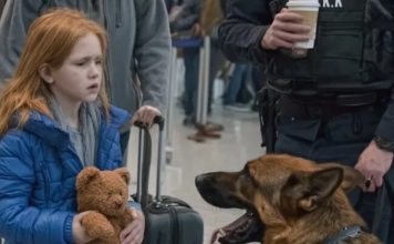 Službeni pas na aerodromu zalajao je na plišanog medu jedne devojčice — ono što je pronašao iznenadilo je sve.