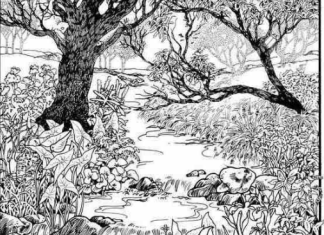 Mnogi su probali, ali RIJETKO KO USPIJE: Svako ko pronađe ženu na fotografiji ima natprosečnu inteligenciju!