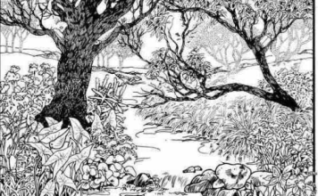 Mnogi su probali, ali RIJETKO KO USPIJE: Svako ko pronađe ženu na fotografiji ima natprosečnu inteligenciju!