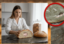 ŠOK U KRALJEVU: Kupila hljeb za ručak, a unutra pronašla nešto zbog čega je odmah stigla policija!