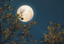 VEČERAS JE DUPLI PUN MJESEC i ZA OVA 3 ZNAKA počinje MAGIČAN PERIOD kakav se dešava jednom u životu