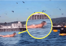 Snimala je svoju kćerku na plaži, ali nije ni slutila šta će se desiti narednih sekundi!