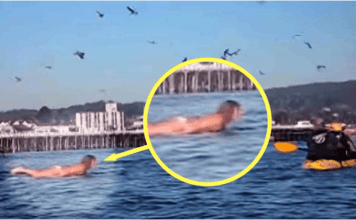 Snimala je svoju kćerku na plaži, ali nije ni slutila šta će se desiti narednih sekundi!