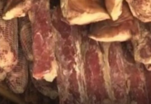 Evo koliko suho meso zaista smije da stoji u frižideru! Svi prave ogromnu grešku, a nisu ni svjesni