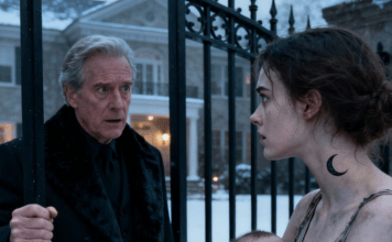 Devojka sa mesečevim ožiljkom