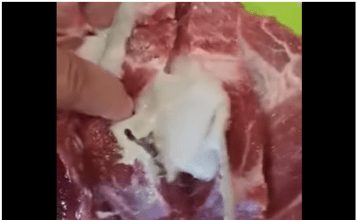 VIDEO Puljanin kupio meso iz kojeg je iscurilo nešto odvratno, pogledajte snimku