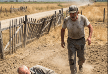 Komšije nisu progovorile reč 30 godina zbog pola metra zemlje: Kada je Ristan pao u njivi, onaj “najgori neprijatelj” je uradio nešto što je postidelo celo selo