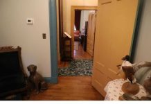 Evo što gostima prvo ‘zapne za oko’ kada vam dođu u posjet