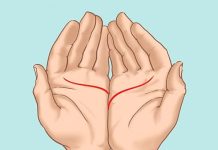 Ove linije na dlanu imaju samo posebni ljudi, nema ih mnogo, iznenadićete se kada čujete šta znače