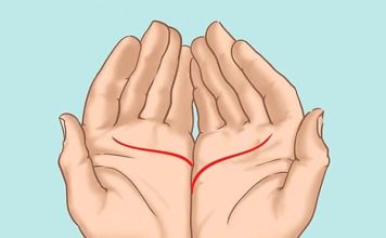 Ove linije na dlanu imaju samo posebni ljudi, nema ih mnogo, iznenadićete se kada čujete šta znače