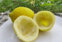 Uzmite koru od limuna i samo uradite ovo: Sudovi će biti blistavi kao nikad pre