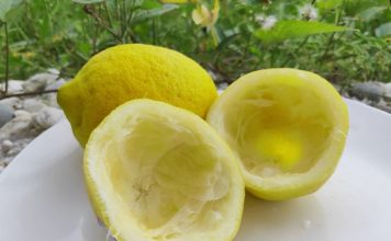 Uzmite koru od limuna i samo uradite ovo: Sudovi će biti blistavi kao nikad pre