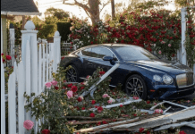 Odbio je da plati štetu i ismijao me — ono što sam zatekao u dvorištu bilo je nevjerovatno