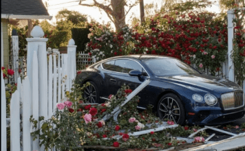 Odbio je da plati štetu i ismijao me — ono što sam zatekao u dvorištu bilo je nevjerovatno